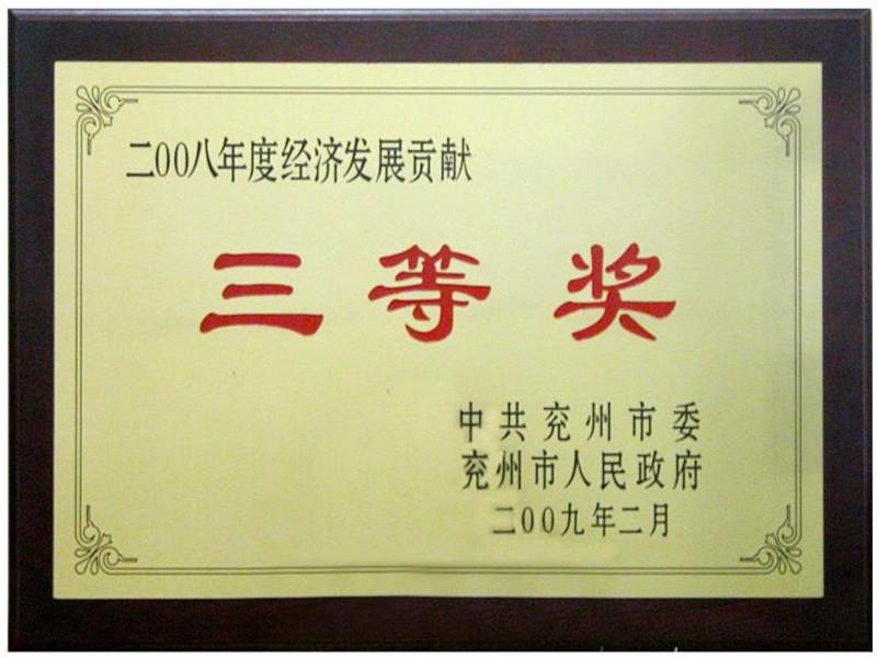 二00八年度經濟發(fā)展貢獻三等獎?
